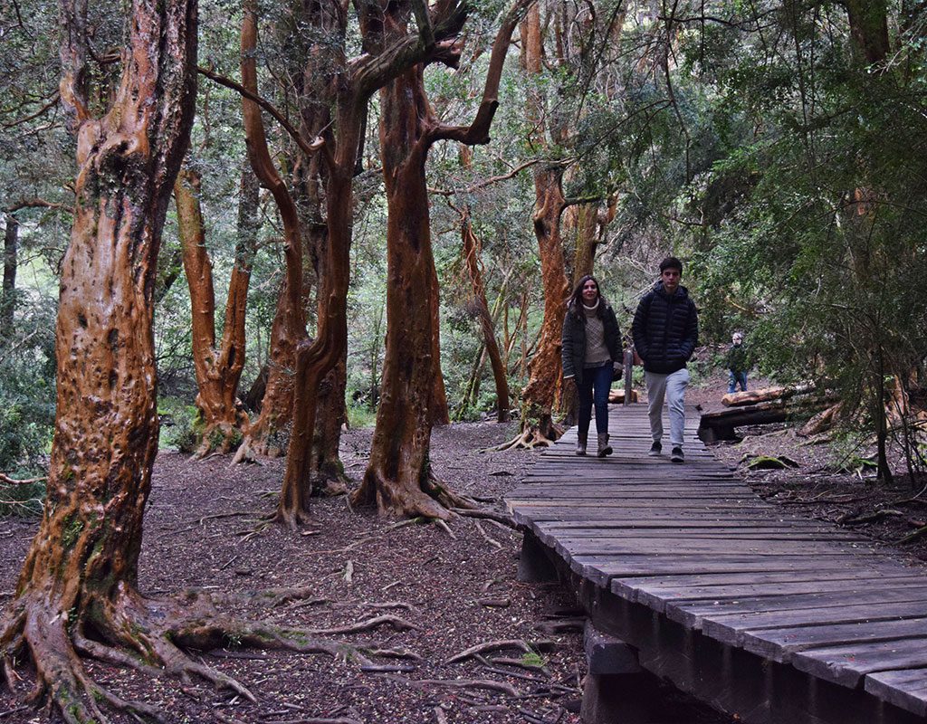 parque municipal llao llao