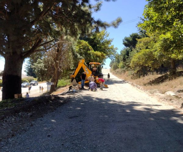 f0de6a28-9b35-576d-a0f7-c04d8c5ef57c_mid